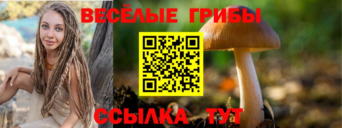 Псилоцибиновые грибы MAGIC MUSHROOMS Дербент