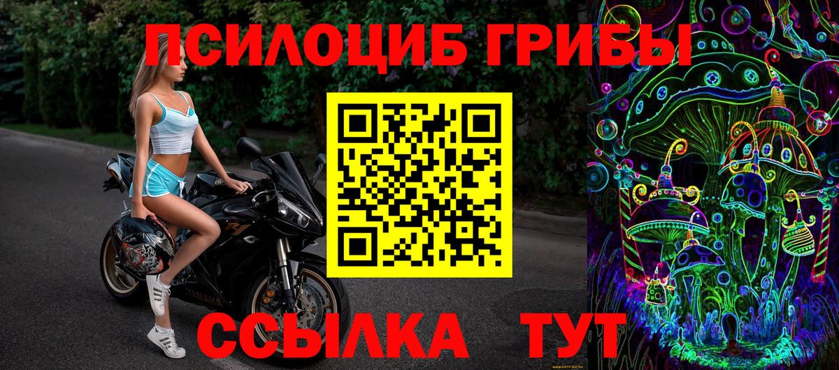 Дербент  Псилоцибиновые грибы MAGIC MUSHROOMS  Вход с VPN 